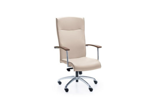 fauteuil de bureau professionnel