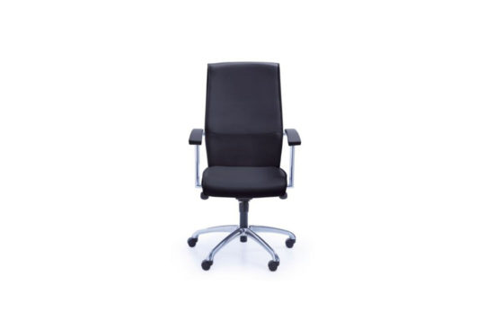 fauteuil de bureau professionnel