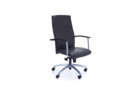 fauteuil de bureau professionnel