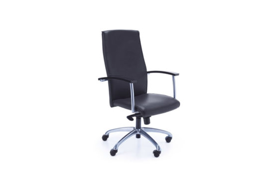 fauteuil de bureau professionnel