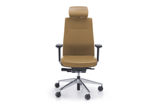 fauteuil de bureau professionnel