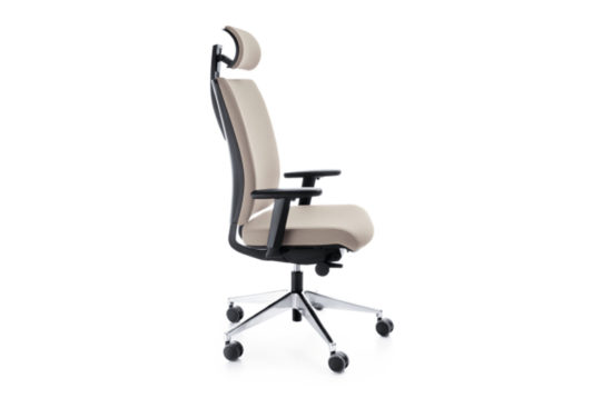 fauteuil de bureau professionnel