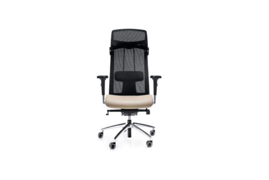 fauteuil de bureau professionnel