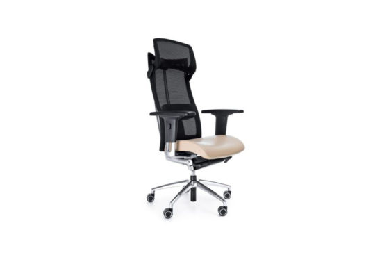 fauteuil de bureau professionnel