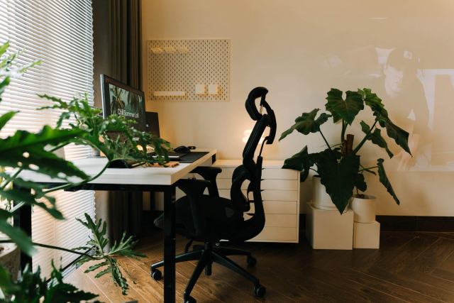 Un guide indépendant de l'aménagement des bureaux Poste de travail entouré de plantes vertes, siège ergonomique et étagères murales