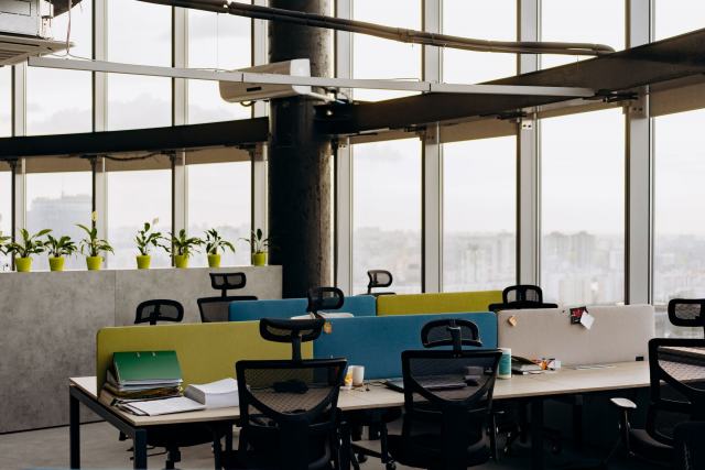 Plateau de bureaux lumineux aux grandes baies vitrées, postes en bench et plantes en bordure de fenêtre